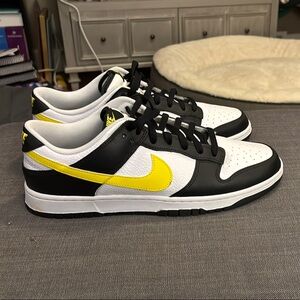 Nike Dunks, never worn.